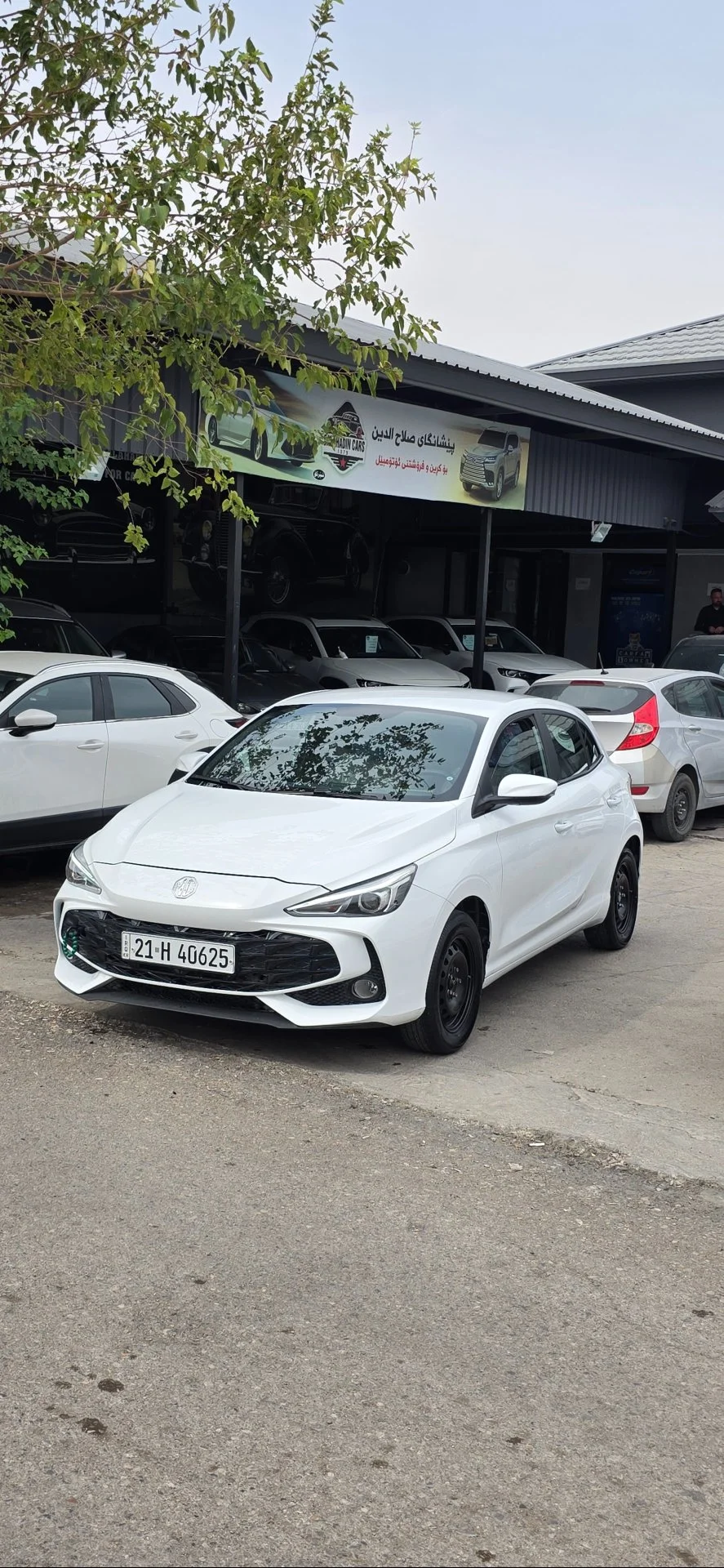 MG3